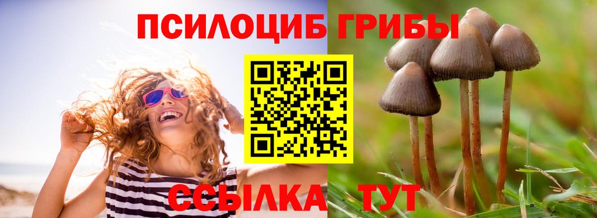 Верхняя Салда  Псилоцибиновые грибы мицелий  купить наркоту  Галлюциногенные грибы Psilocybine cubensis  Вход с VPN 